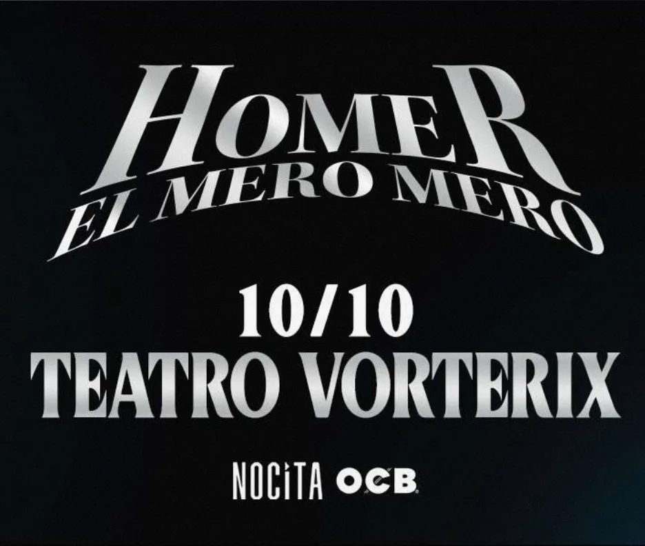 Afiche de HOMER EL MERO MERO