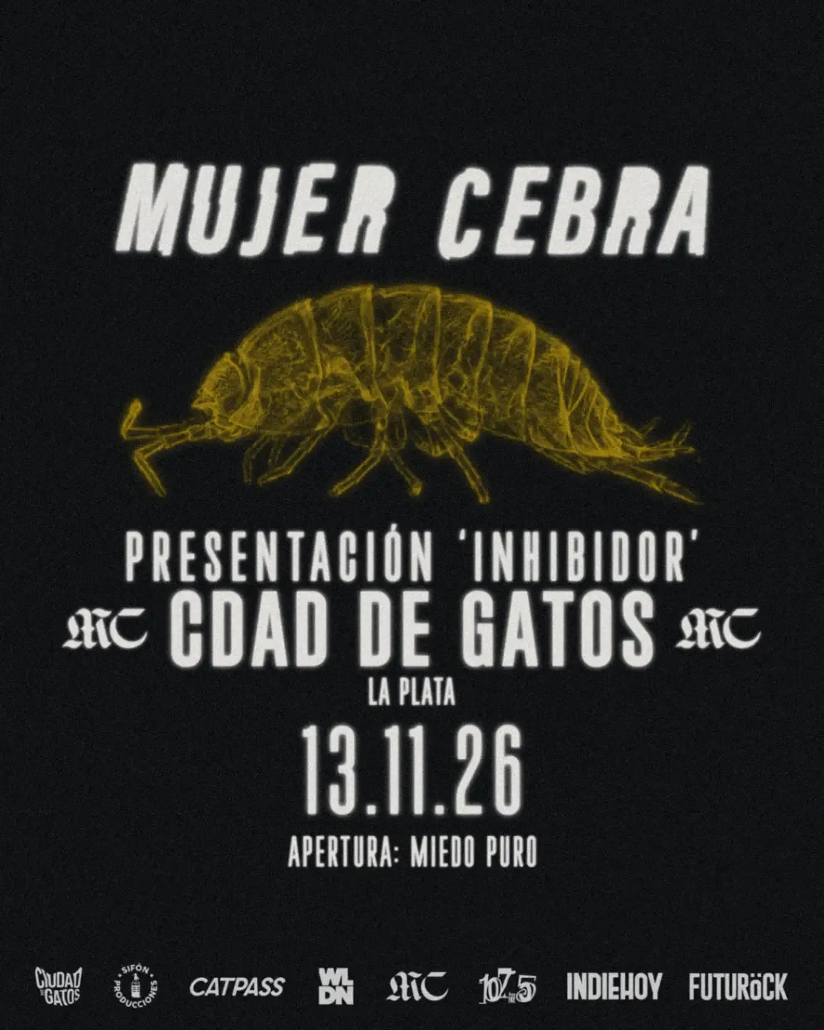 Afiche de Mujer Cebra + MIEDO PURO